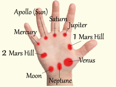 The value of the hills on palmistry