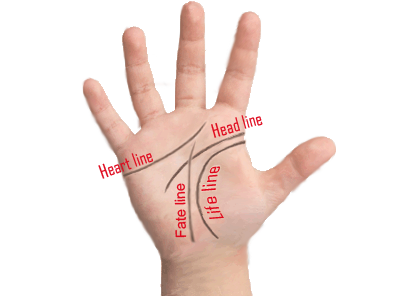 Palmistry four main lines